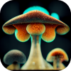 mushroom